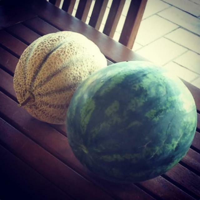פשיה רומנה Agriturismo Colle D' Oro מראה חיצוני תמונה